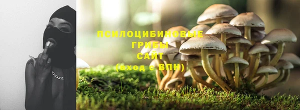 прущие крисы Магадан