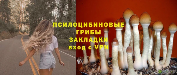прущие крисы Магадан