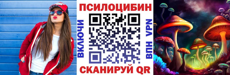 Галлюциногенные грибы Cubensis  Купить где  Магадан 